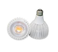 NFQZAWSKX HongHeFu Lot de 2, lampes LED COB E27 PAR30 15W/20W AC85-265V Lampes d'alimentation isolées for éclairage commercial(Warm white,20W)
