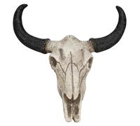 NIDONE Crâne de Taureau, décoration Murale de crâne Vache 3D avec Cornes réalistes, décoration Murale Squelette en résine pour thème Occidental, Blanc et