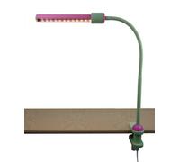 Niermann Lampe avec pince de fixation et éclairage LED Vert tendre/magenta (238)