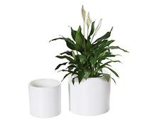 Nihow Lot de 2 pots de fleurs en céramique de 12,7 cm et 17,8 cm pour plantes d'intérieur - Pot de fleurs cylindrique robuste et moderne avec drainage et bouchons en caoutchouc amovibles - Blanc mat -