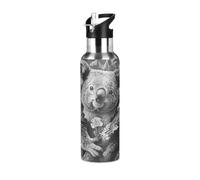 Niigeu Art Koala Ours Australie Bouteille d'eau Isotherme avec Paille en Acier Inoxydable Gourde, Sans BPA Gourdes Eau pour Enfant Sport Randonnée École Bureau (600ml/1L)