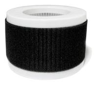 Nispira Filtres de rechange HEPA 2 en 1 compatibles avec le purificateur d'air Pro Breeze Mini PB-P02, 1 paquet