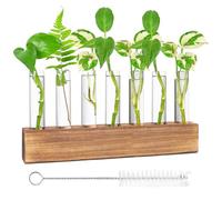 Nizirioo Station De Propagation Hydroponique - Vase en Verre avec Support en Bois, Brosse et 8 Tubes À Essai pour Plantes - Décoration