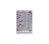 Nobo Kit De Planning Polyvalent 10 Colonnes 54 Fentes, Inclus 2 Supports En Aluminium, 10 Étuis De 100 Fiches T2, Kit De Fixation Mural