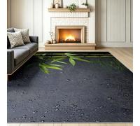 Noir 60 x 90 cm Doux Poil Ras Salon Tapis, Moderne Minimaliste Style | Doux Antidérapant Lavable Gouttes D Eau Plante Bambou Feuilles Tapis, pour Chambre Couloir Bureau