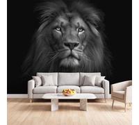 Noir Et Blanc Tête De Lion Papier Peint Intissé Salon 250 x 175 cm | Murale Personnalité Sombre Animaux pour Chambre Décoration Couloir Entrée Cuisine TV Fond Salle à Manger