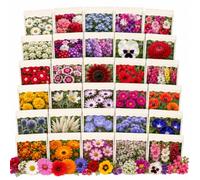 Nojus - Collection de graines de fleurs et de prairie fleurie - 30 sachets de graines de fleurs pour massifs, pots de balcon, jardins de cottage et aménagements extérieurs colorés
