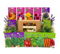 Nojus - Collection de graines pour jardin allemand - 15 sachets de graines d'herbes aromatiques, de légumes et de fleurs pour jardins familiaux, plates-bandes surélevées, pots de balcon et potagers