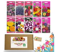 Nojus - Lot de graines de fleurs - Graines de fleurs 10 variétés - Graines de fleurs de balcon - Graines de plantes colorées - 10 paquets - Graines de fleurs sauvages