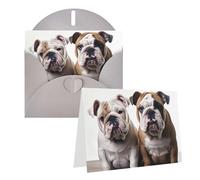 NONHAI Cartes de vœux avec enveloppes « Thinking of You » - Deux adorables chiens bouledogues vierges - Cartes de vœux pour toutes les occasions - Pour anniversaire, fête prénatale, félicitations