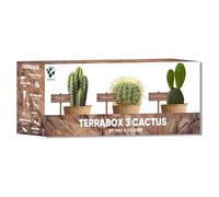 NOPALIA® Kit Cactus - Mini Kit Prêt à Pousser (Echinocactus Grusonii, Opuntia Microdasys, Polaskia Chichipe) - Plantes Grasses Déco Intérieure - Cadeau Insolite Femme Homme - cadeau fête des mères