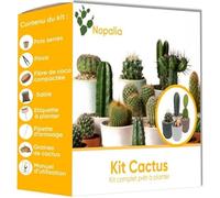 NOPALIA® Kit Cactus Prémium - Mini Kit à Faire Pousser - Mini Cactus - Idée Cadeau Noel - Plante Interieur - Kit Plante Prêt à Pousser - Jardin Intérieur - cadeau de noel original - Plantes Grasses