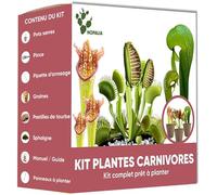 NOPALIA® Kit Plantes Carnivores Premium - Dionaea, Darlingtonia & Sarracenia - Kit Complet avec Serre, Pots, Tourbe & Sphaigne - Cadeau Insolite & Éducatif noel - DIY Jardin Intérieur - Made in France