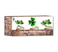 NOPALIA® Kit Trèfle à 4 Feuilles Porte-Bonheur - Graines Oxalis Deppei, Trifolium White & Pink - Idée Cadeau Noël Original Femme Homme - Jardin Intérieur Chance & Déco