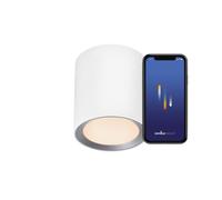 nordlux Landon Projecteur, LED, 2110840101,