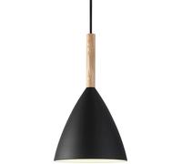 Nordlux Pure lampe suspendue 1x40 W noir 43293003