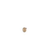 Normann Copenhagen Figurine Little Bird - chêne - 3 cm