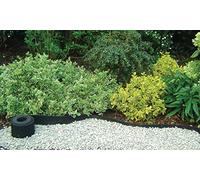 Nortene Bordure Gazon En Caoutchouc Recyclé 0, 13 x 5M Selfi x