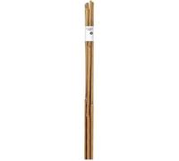 NORTENE Tuteur bambou L90 cm ép. 8 / 10 mm - Lot de 4 pièces