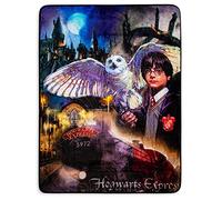 Northwest Silk Touch Couverture Sherpa en Polyester, Montage Magique Harry Potter, 152,4 x 203,2 cm