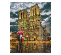 Notre Dame 40 x 50 cm - Painting by Numbers