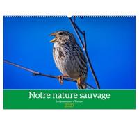 Notre nature sauvage, les passereaux d'Europe (Calendrier mural 2027 DIN A2 vertical), CALVENDO calendrier mensuel: A la découverte des habitants de nos campagnes.