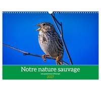 Notre nature sauvage, les passereaux d'Europe (Calendrier mural 2027 DIN A3 vertical), CALVENDO calendrier mensuel: A la découverte des habitants de nos campagnes.