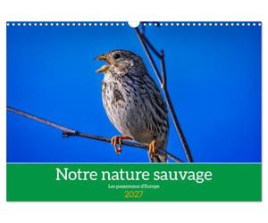Notre nature sauvage, les passereaux d'Europe (Calendrier mural 2027 DIN A3 vertical), CALVENDO calendrier mensuel: A la découverte des habitants de nos campagnes.