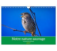 Notre nature sauvage, les passereaux d'Europe (Calendrier mural 2027 DIN A4 vertical), CALVENDO calendrier mensuel: A la découverte des habitants de nos campagnes.