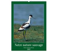 Notre nature sauvage, oiseaux aquatiques d'Europe (Calendrier mural 2027 DIN A2 horizontal), CALVENDO calendrier mensuel: Oiseaux que l'on peut découvrir en Europe