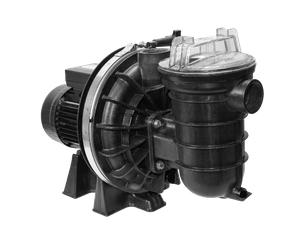 Nouvelle Pompe Sta-Rite (5P2R) - 0.75 cv mono 12 m³/h