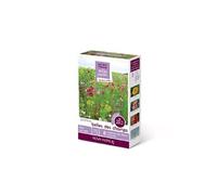 novaflore - prairies fleuries : jachères belle des champs 100 m2
