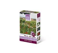 Novaflore - Prairies Fleuries : jachères Fleurs des prés 300 à 600 m2
