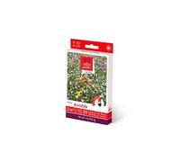 novaflore - prairies fleuries : prairie durable 3 m2