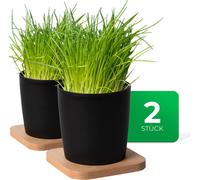 Novaliv Set élégant de 2 pots à herbes avec support en bois pour chaque rebord de fenêtre, Pour les herbes fraîches de cuisine, Jardin d'herbes aromatiques pour la cuisine, Lit d'herbes aromatiques à 