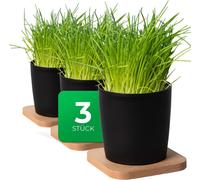 Novaliv Set élégant de 3 pots à herbes avec support en bois pour chaque rebord de fenêtre, Pour les herbes fraîches de cuisine, Jardin d'herbes aromatiques pour la cuisine, Lit d'herbes aromatiques à 