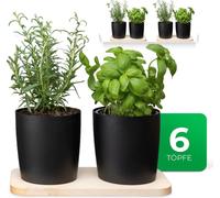 Novaliv Station d'herbes aromatiques élégante, set de 6 avec support en bois et 6 pots d'herbes aromatiques pour chaque rebord de fenêtre, pour des herbes fraîches de cuisine, jardin d'herbes aromatiq
