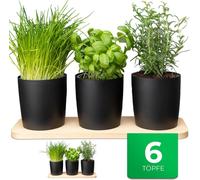 Novaliv Station d'herbes aromatiques élégante, set de 6 avec support en bois - Pot d'herbes aromatiques pour chaque rebord de fenêtre, Pour des herbes fraîches de cuisine, Jardin d'herbes aromatiques 