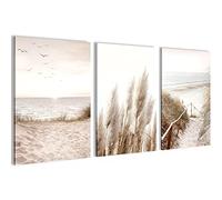 Novart Tableaux Decoration murale Boho Pampasgras Plage Vintage - PAS DE CADRE NÉCESSAIRE - Salon Chambre XXL - N003936a