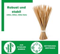 Novatool 500x baguettes d'échardes 60 cm x 5,5 mm I naturel I baguettes pour plantes aide à la croissance baguette de bambou baguette de bambou support de plantes baguette de bois plant stakes