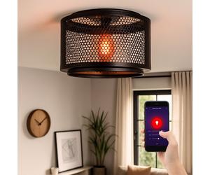 Nowa Deckenleuchte LED Smart RGB CCT 2700-6400K Dimmable Alexa Google, Noir