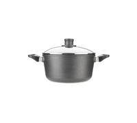 NOWO TITANIUM MARMITE EN FONTE AVEC 2 POIGNEES LATERALES ET COUVERCLE EN VERRE DE SECURITE 28 CM