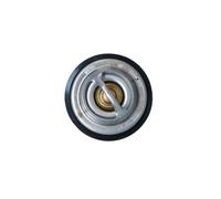 NRF 725194 Thermostat d'eau
