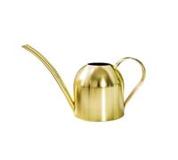 NTf307 Pot d'arrosage en acier inoxydable à long goulot Vert 500 ml (A, 22 x 12,3 x 10 cm)