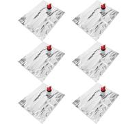 NULYLU Lot de 6 Sachets à Vin avec Bec Verseur, Poche à Liqueur Portable en NY Vmpet PE, Capacité 2l, pour Rangement Bouteille Lors de Fêtes et Rassemblements