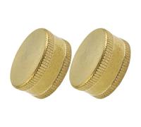 NUOBESTY Embout Femelle de Tuyau D’arrosage 3/4 Pouces, Laiton, Lot de 2