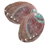 NUOBESTY Support de Parfum Ornement Décoratif Robuste et Attrayant en Coquille D'ormeau 2 Pièces Marron Naturel pour Temple ou Intérieur