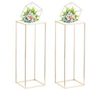 Nuptio Centres de Mariage pour Tables avec Panneau Acrylique - 2 Pièces Vase Doré 80cm Haut pour Centres Table Support Fleurs pour Fête Mariage Vases À Fleurs Métal Présentoir À Colonne