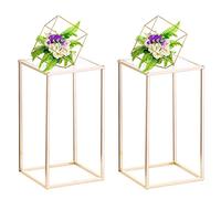 Nuptio Vases Dorés pour Centres Table Mariage avec Panneau en Acrylique - 2 Pièces 40cm Haut Porte-Fleurs Vases Métal Colonne Centre de Table Supports Présentoir pour Fête d'anniversaire Mariage