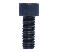 nVent HOFFMAN Vis de fixation pour mors rapportés durs et doux, Pour type de mandrin: 315 Quantité:1